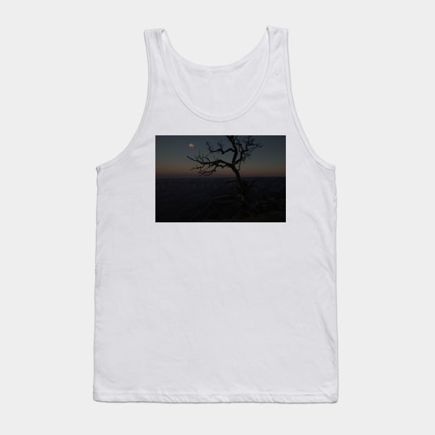 850_8831 Tank Top by wgcosby